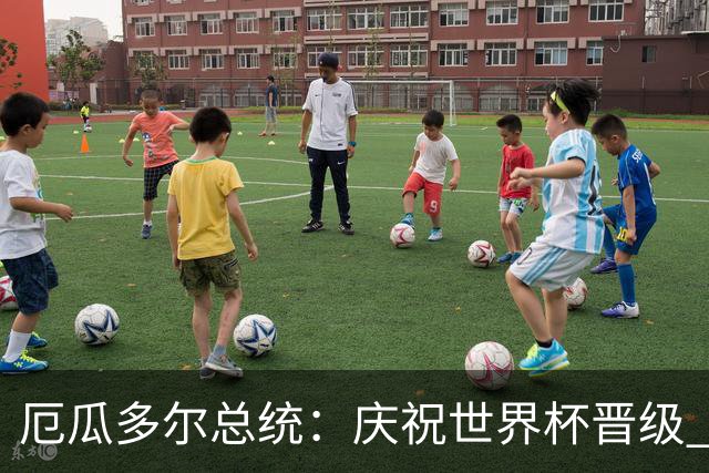 厄瓜多尔总统：庆祝世界杯晋级 全国放假一天